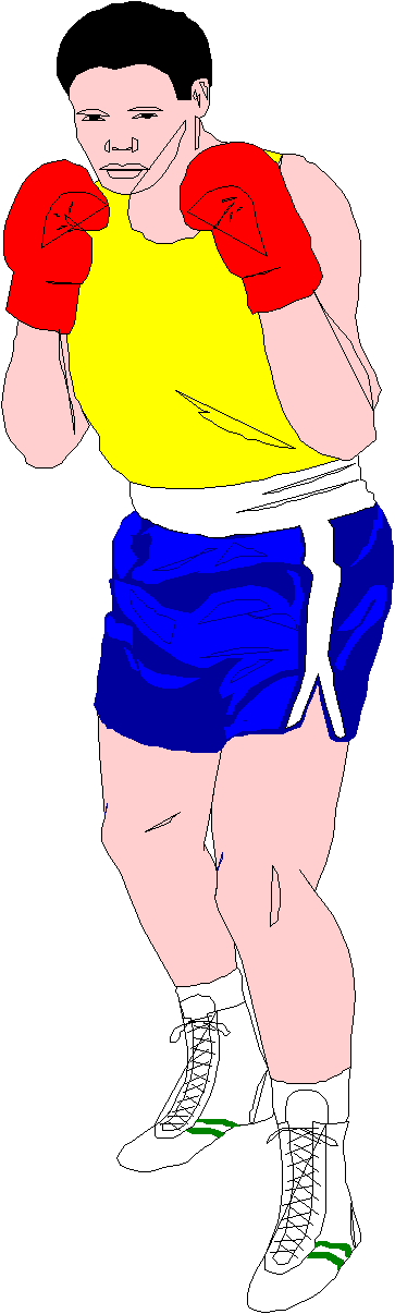 Boxer